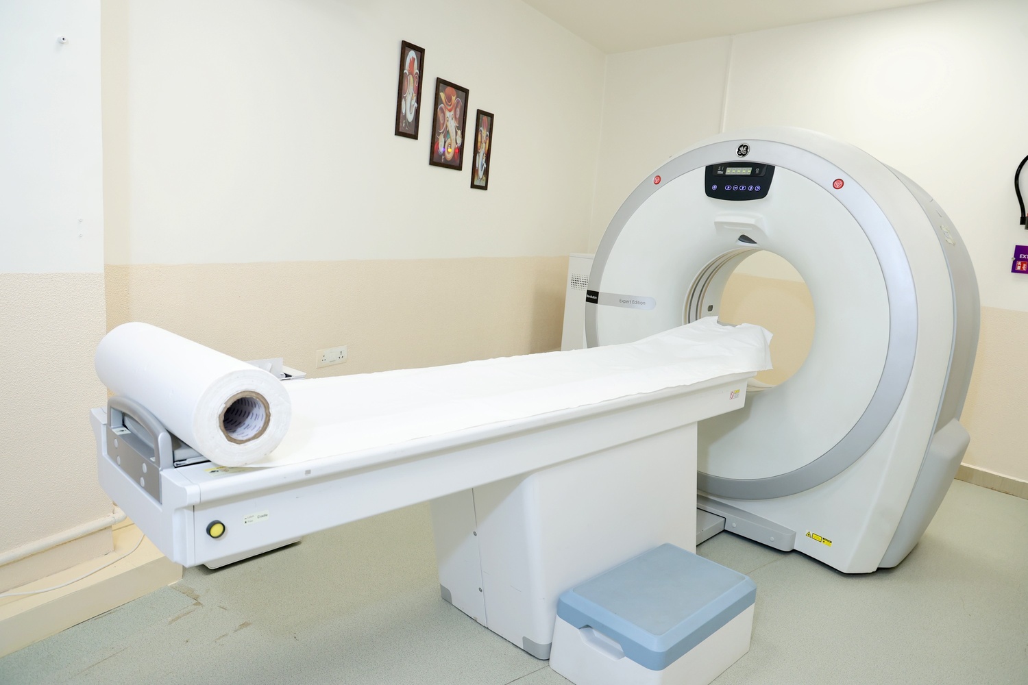 Manesar Gallery 5